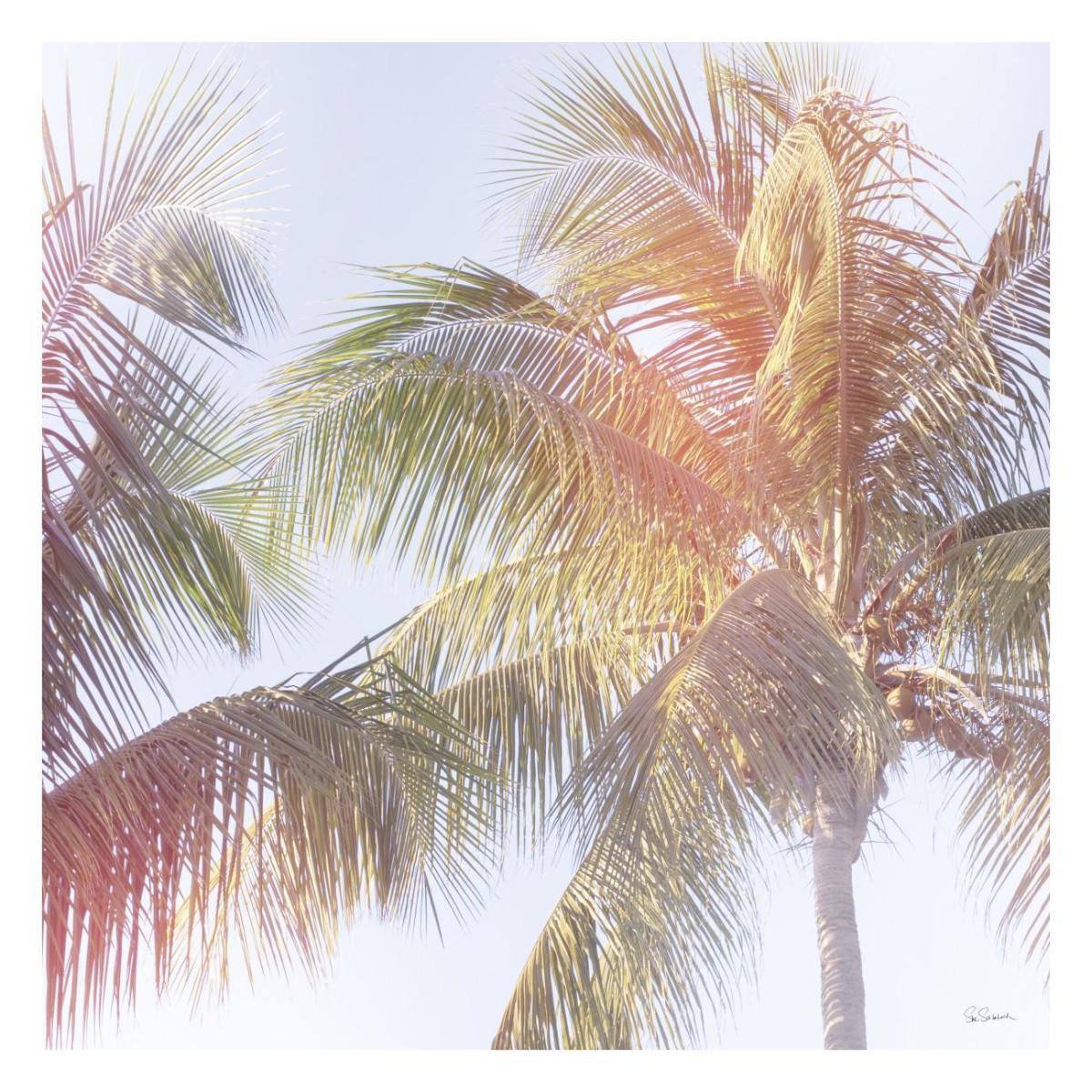 Dream Palm III -Paper Art-26"x26"