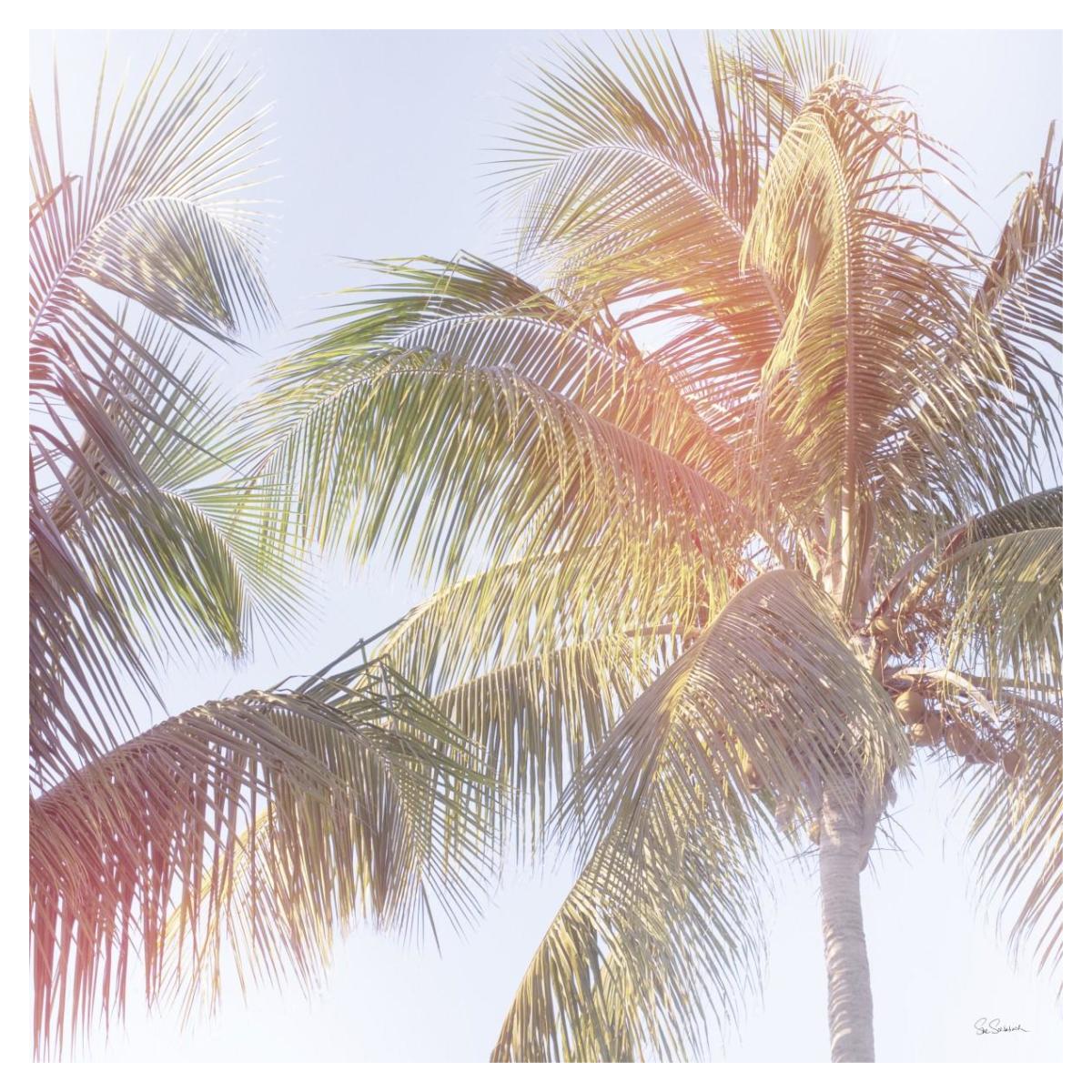 Dream Palm III -Paper Art-38"x38"