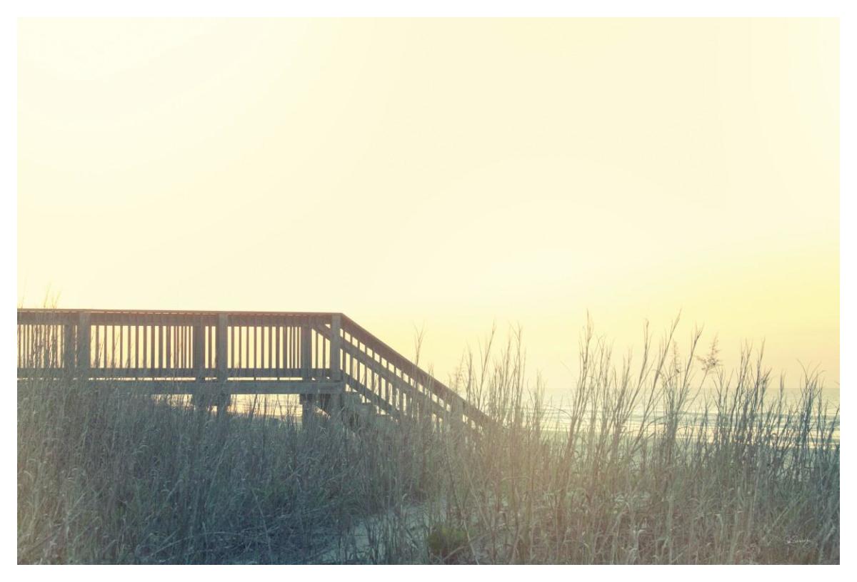 Boardwalk to the Beach -Paper Art-50"x34"