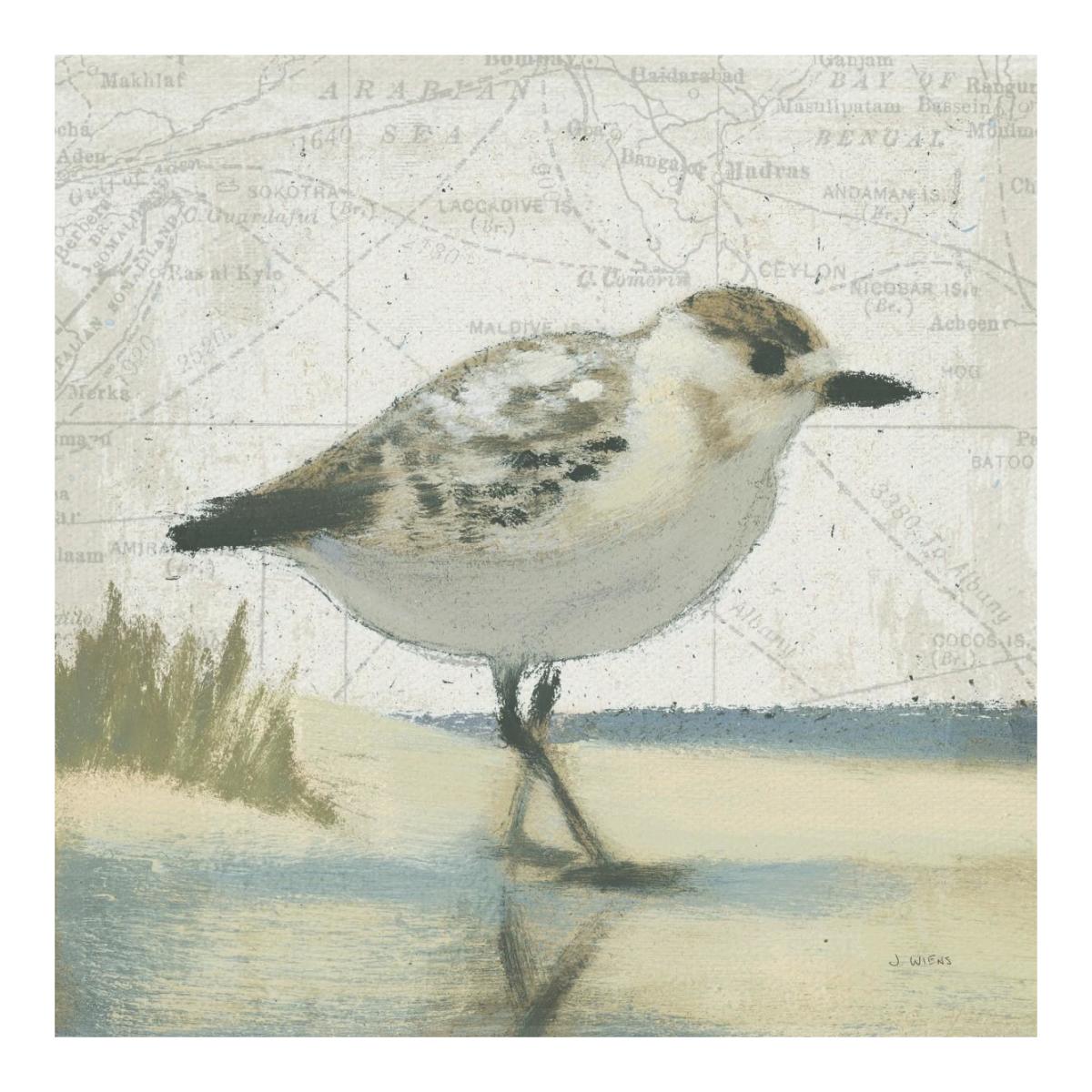 Beach Bird I -Paper Art-20"x20"