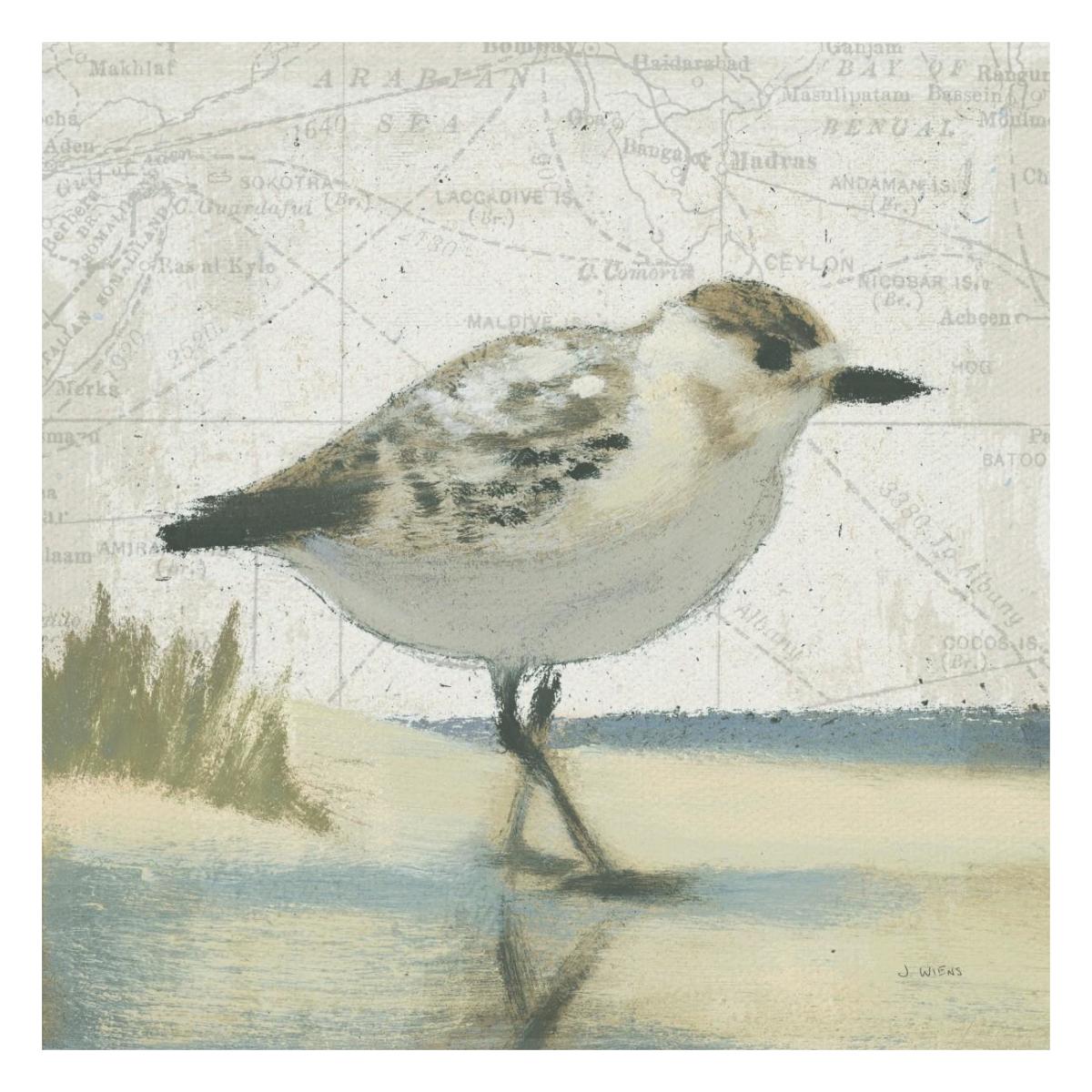 Beach Bird I -Paper Art-26"x26"