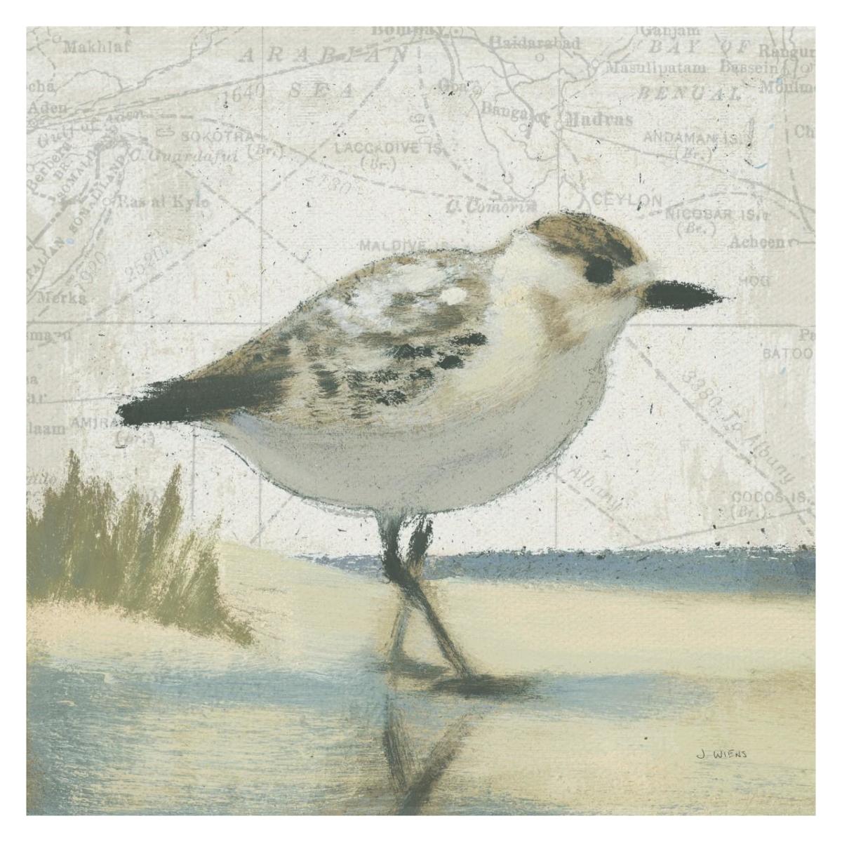 Beach Bird I -Paper Art-32"x32"