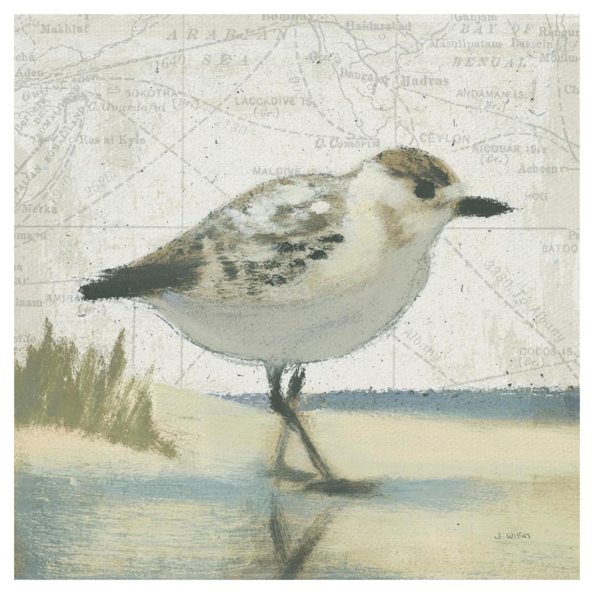 Beach Bird I -Paper Art-42"x42"