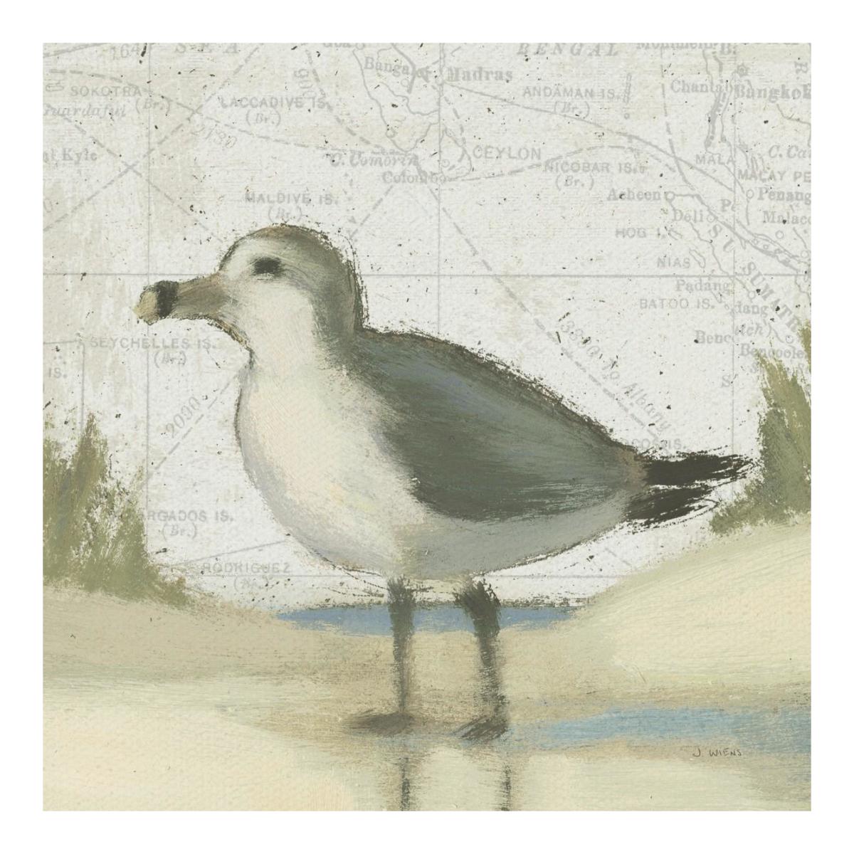 Beach Bird II -Paper Art-20"x20"
