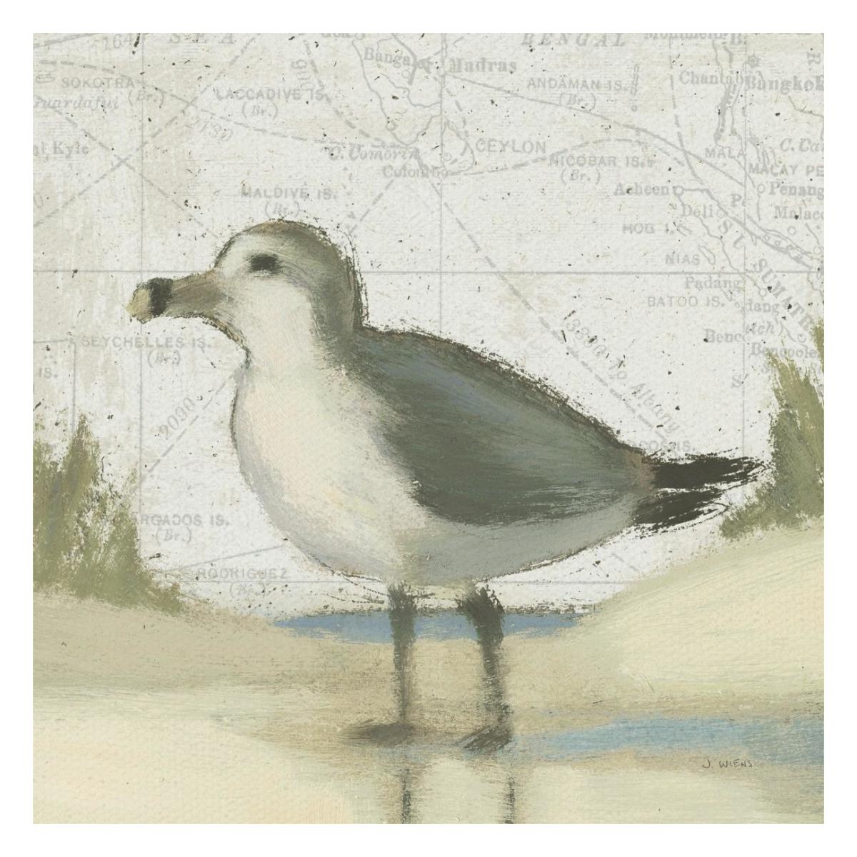 Beach Bird II -Paper Art-26"x26"