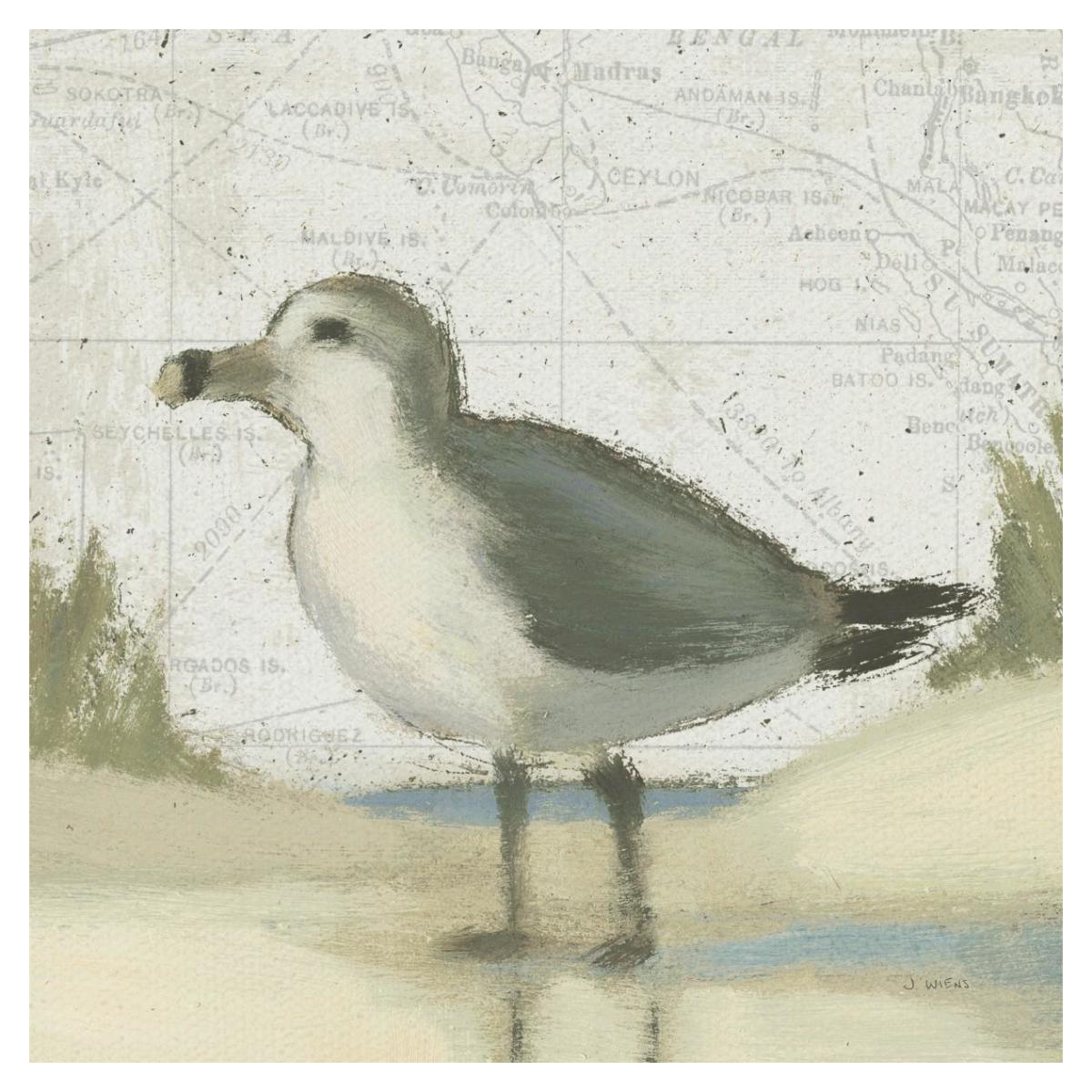 Beach Bird II -Paper Art-38"x38"