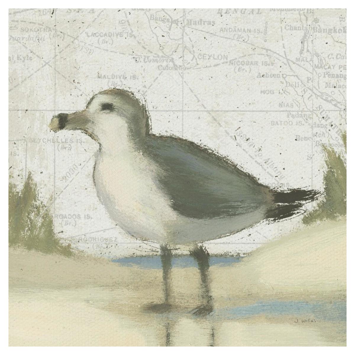 Beach Bird II -Paper Art-42"x42"