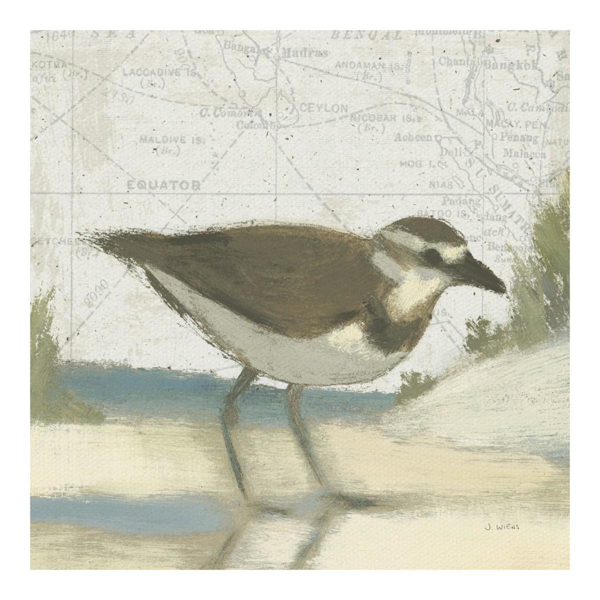 Beach Bird III -Paper Art-20"x20"