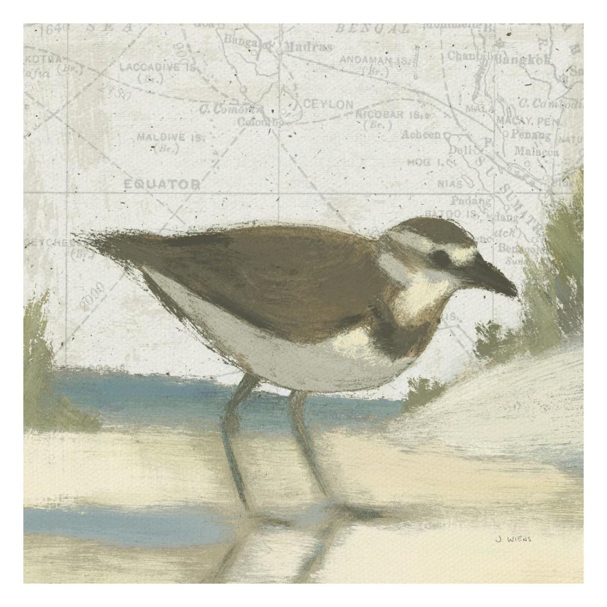 Beach Bird III -Paper Art-26"x26"