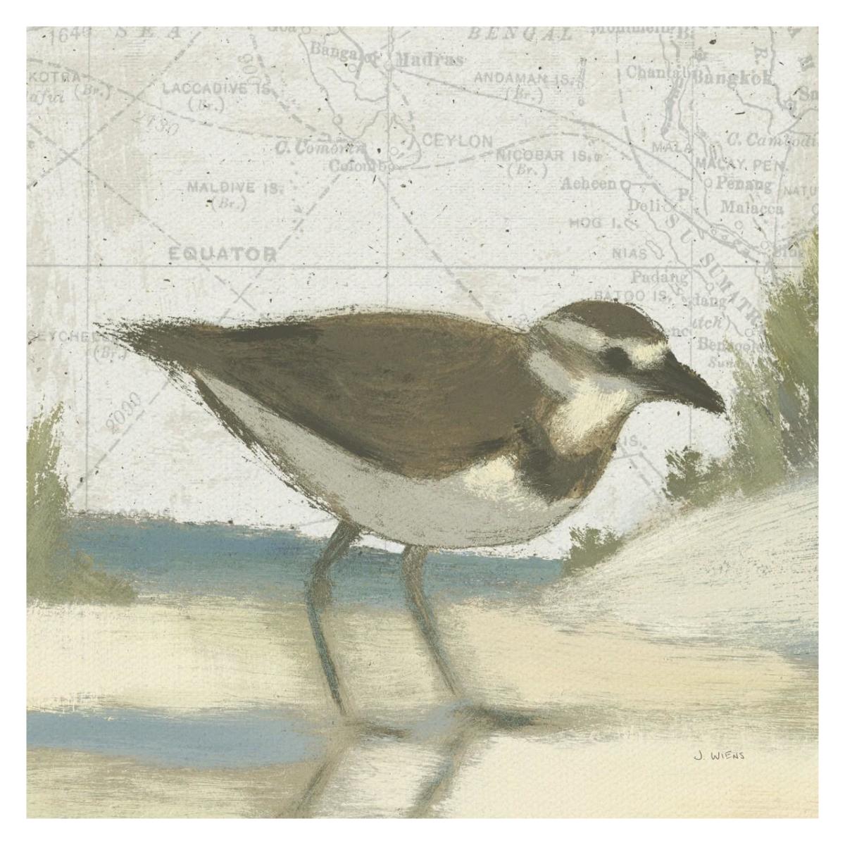 Beach Bird III -Paper Art-32"x32"
