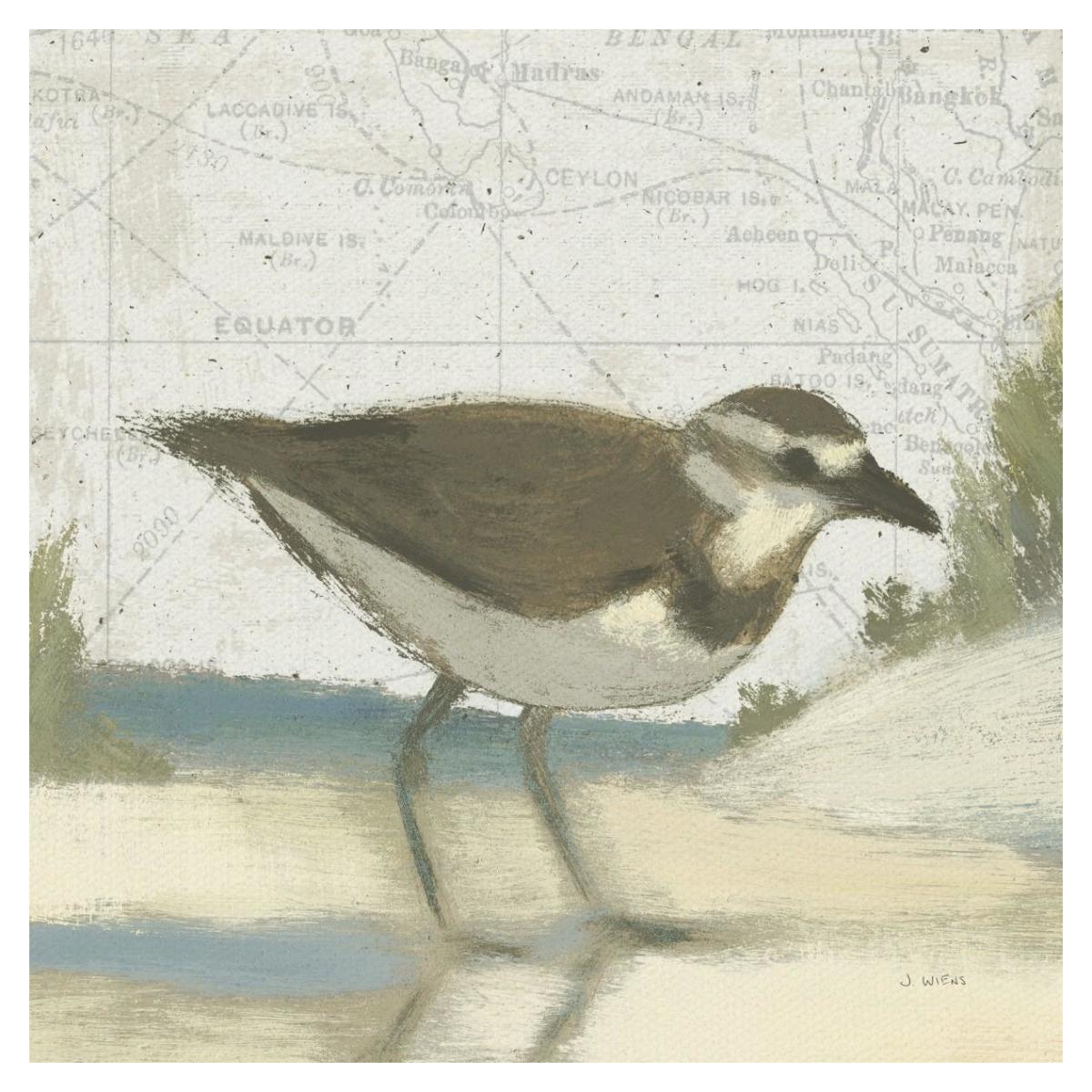 Beach Bird III -Paper Art-38"x38"