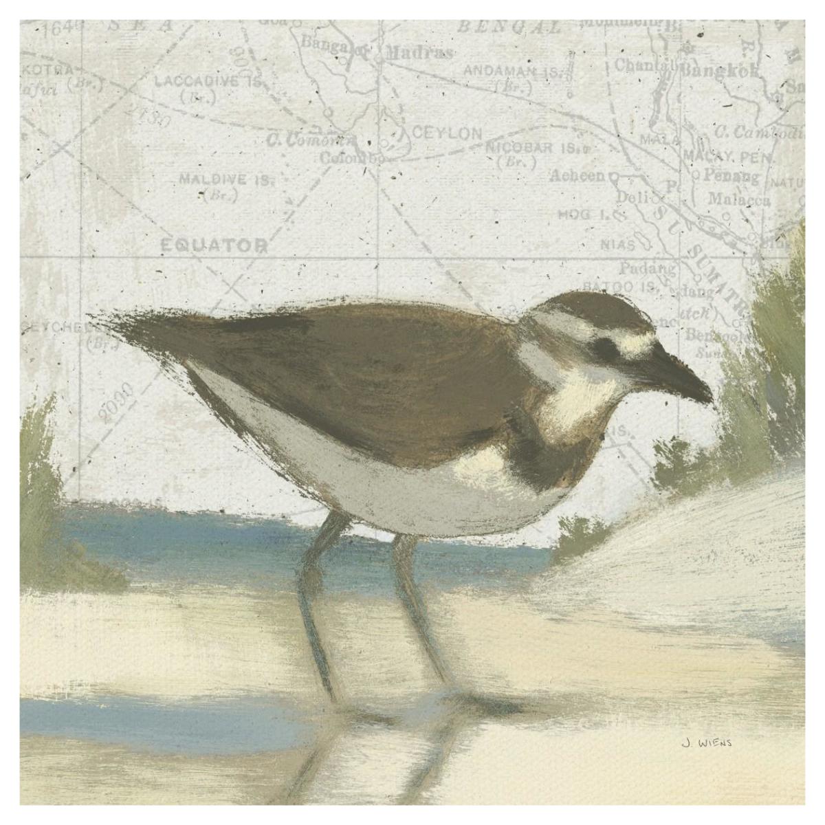 Beach Bird III -Paper Art-42"x42"