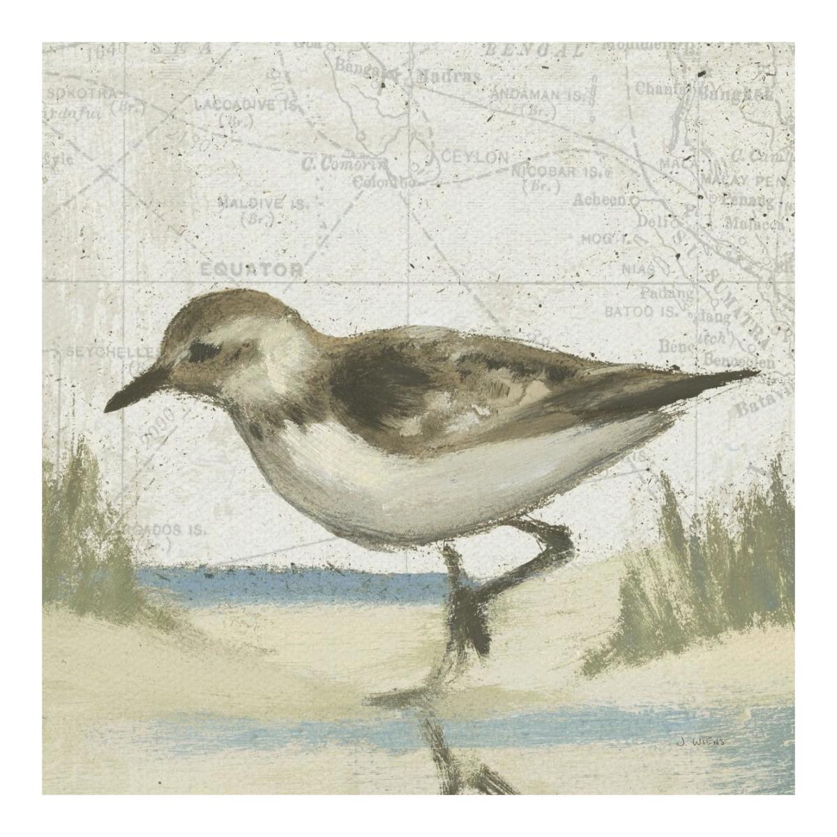 Beach Bird IV -Paper Art-20"x20"