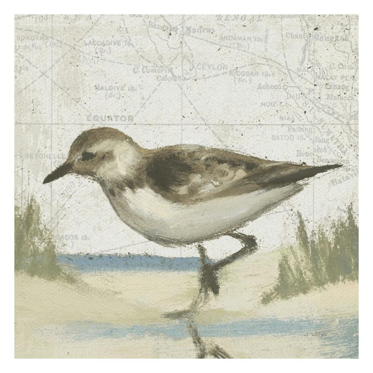Beach Bird IV -Paper Art-26"x26"