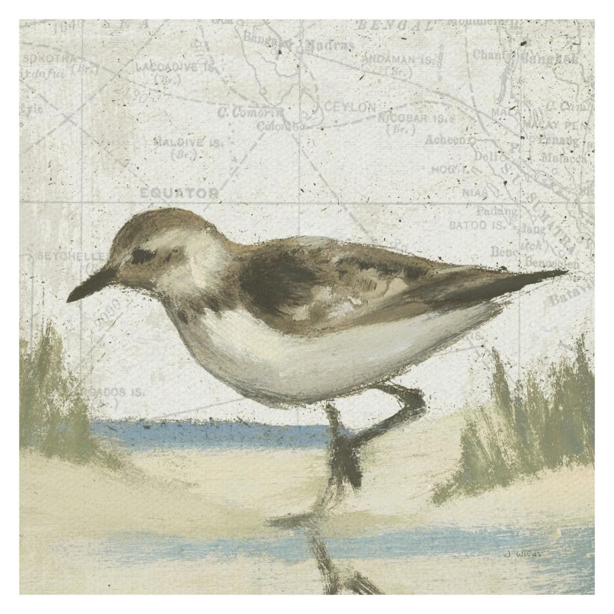 Beach Bird IV -Paper Art-32"x32"