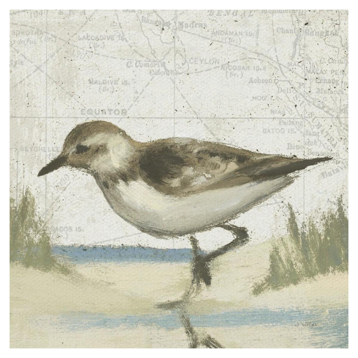 Beach Bird IV -Paper Art-38"x38"