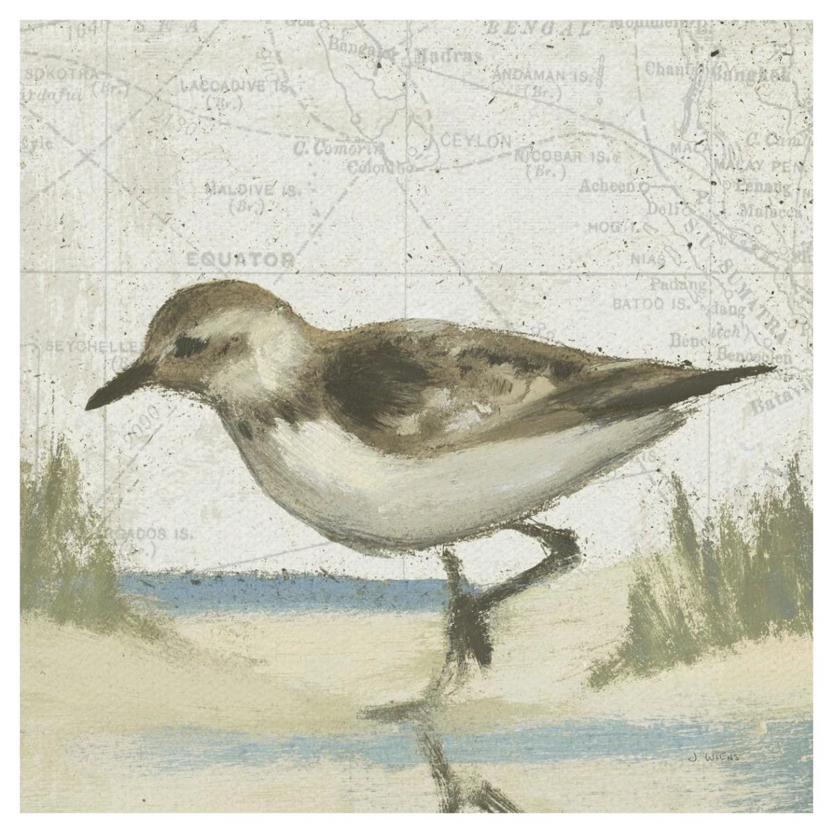 Beach Bird IV -Paper Art-42"x42"