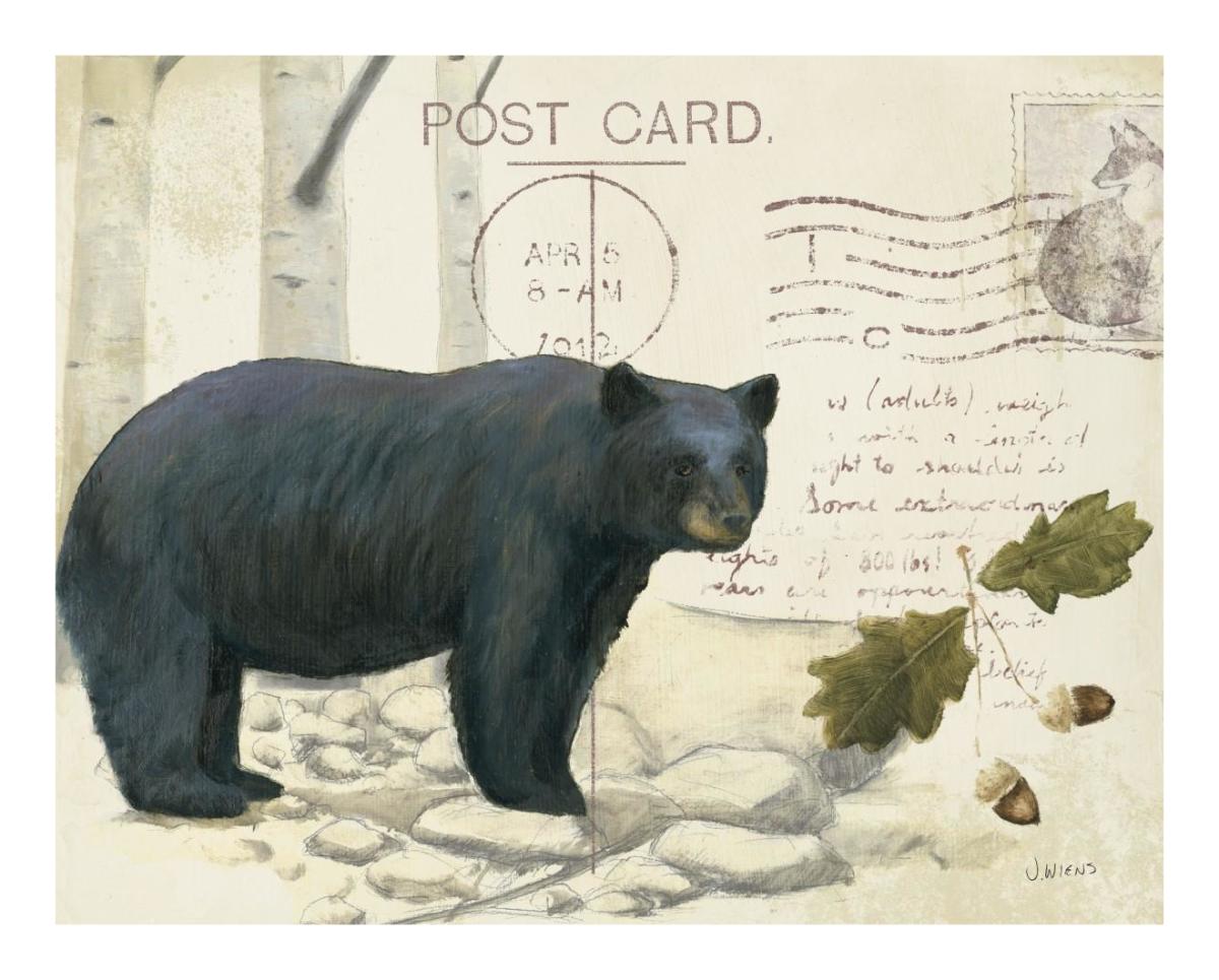 Northern WIld IV -Paper Art-22"x18"