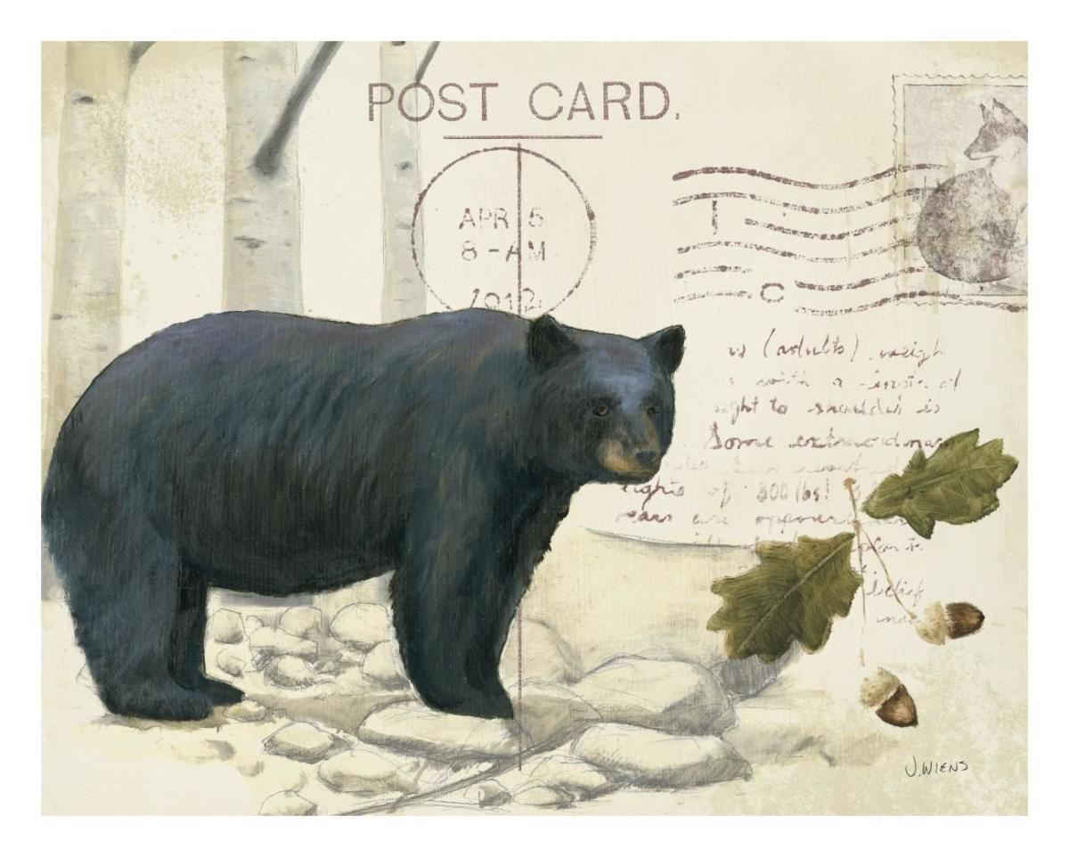 Northern WIld IV -Paper Art-26"x22"