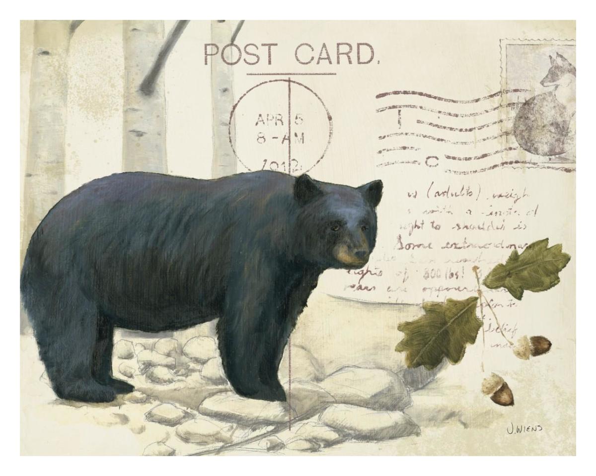 Northern WIld IV -Paper Art-30"x24"