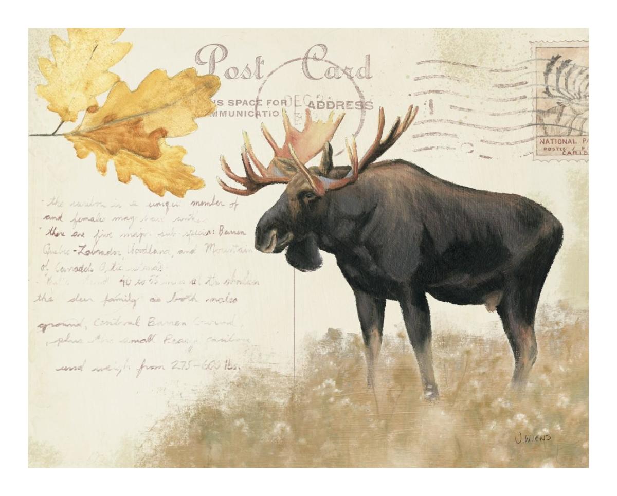 Northern WIld III -Paper Art-22"x18"