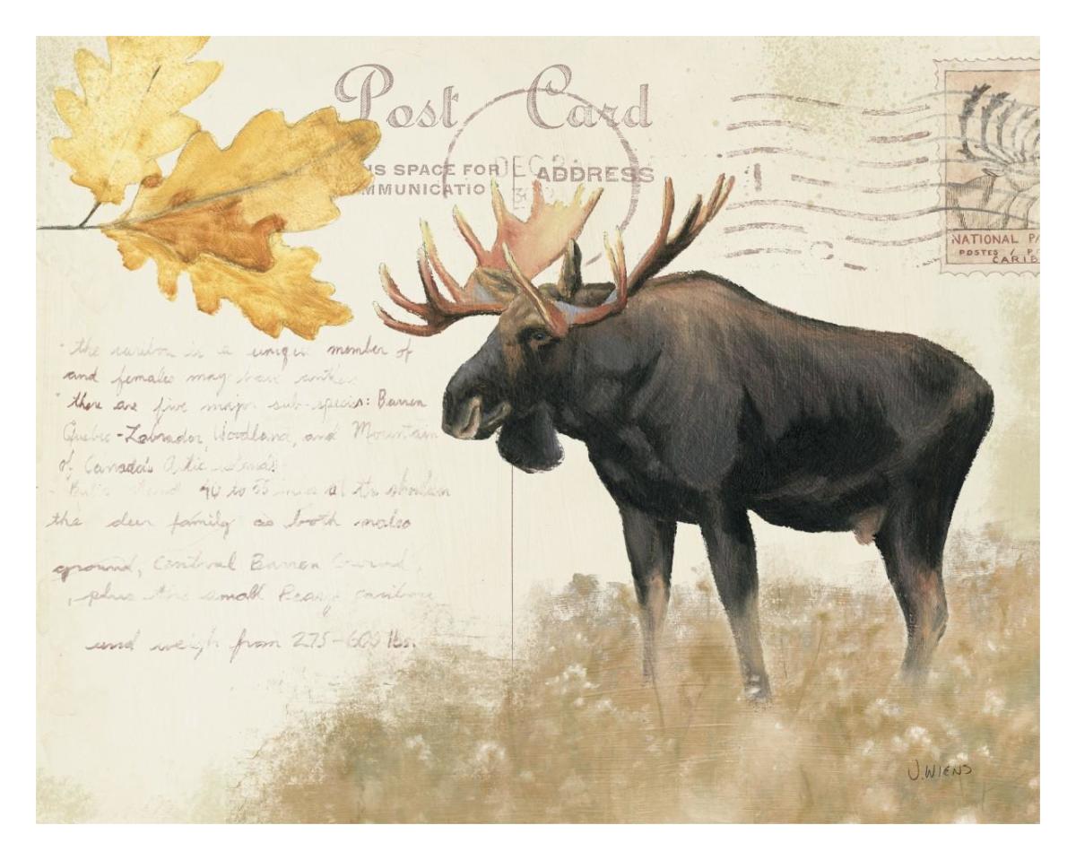 Northern WIld III -Paper Art-30"x24"