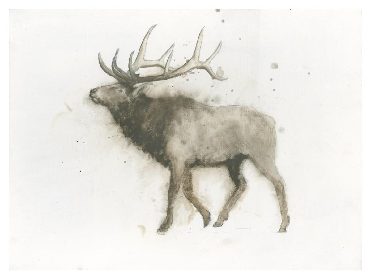 Elk -Paper Art-42"x32"