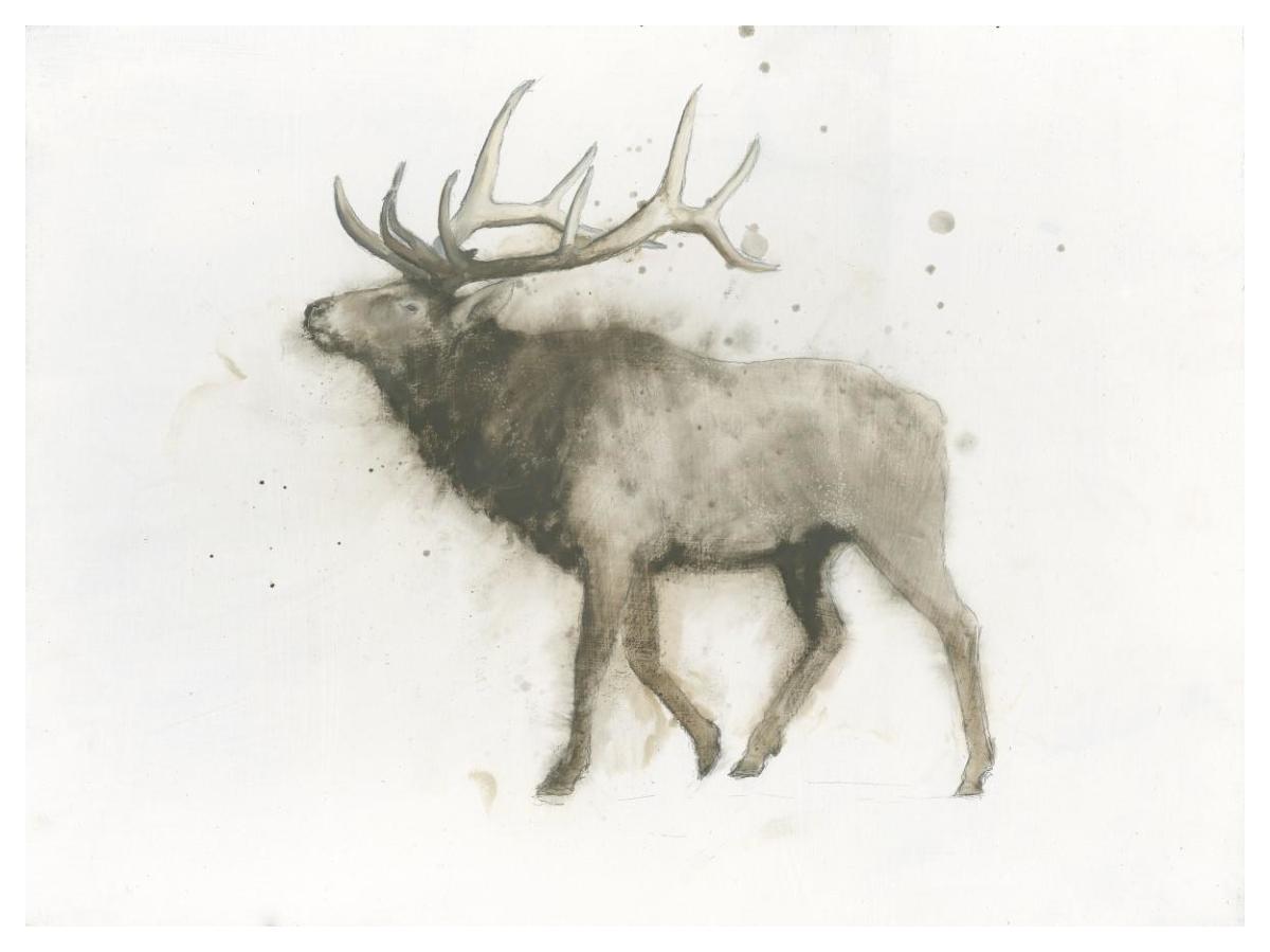 Elk -Paper Art-50"x38"