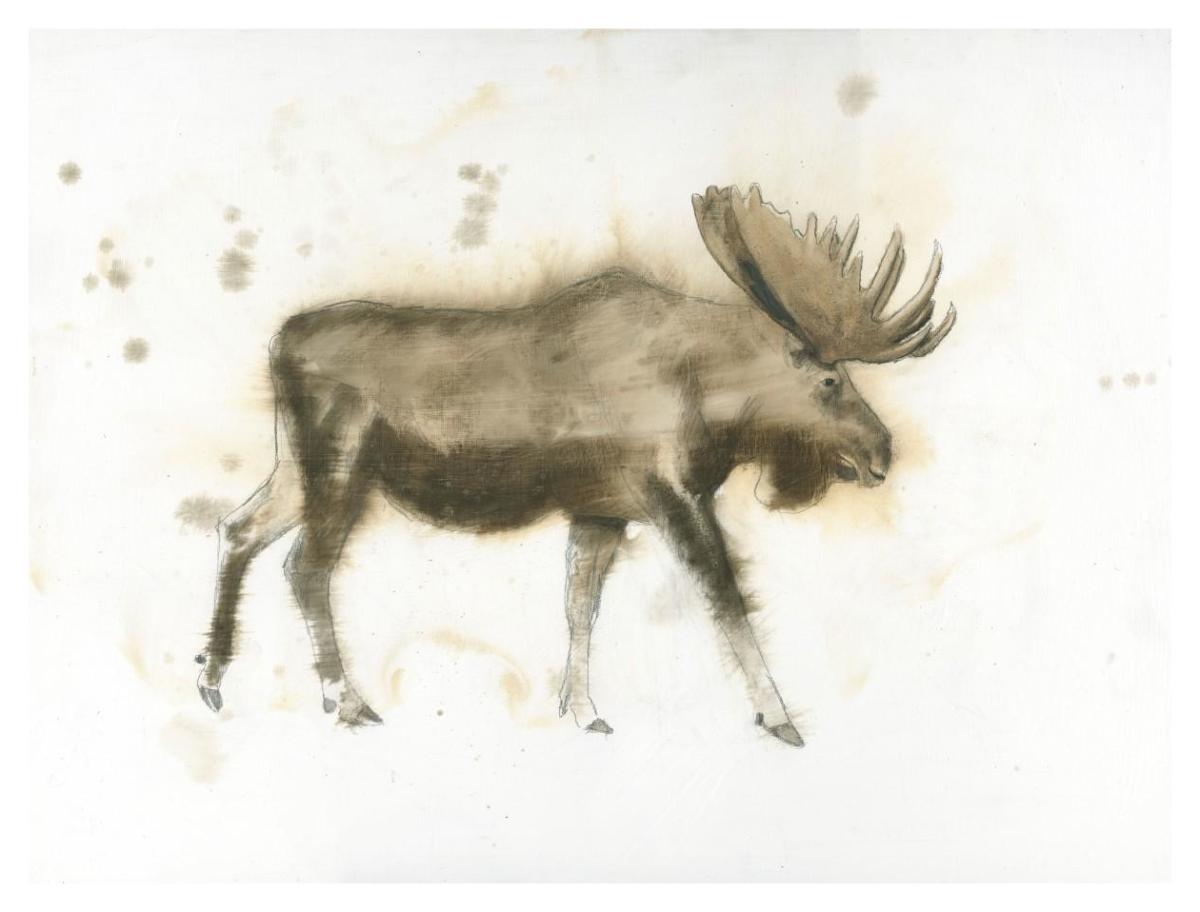 Moose -Paper Art-42"x32"
