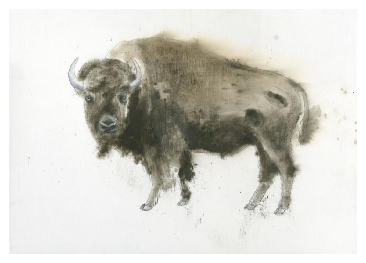 Buffalo Bill -Paper Art-42"x30"