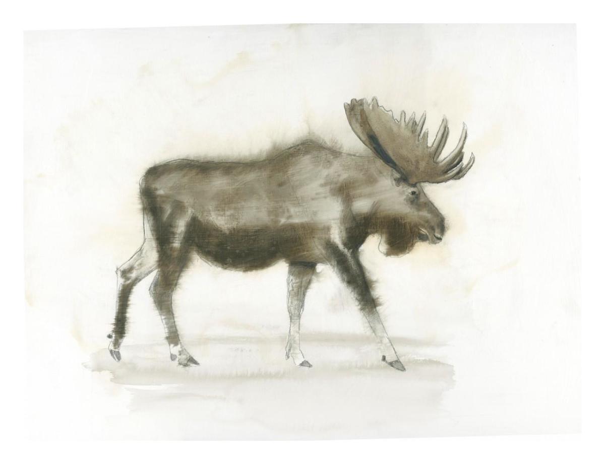 Dark Moose -Paper Art-26"x20"