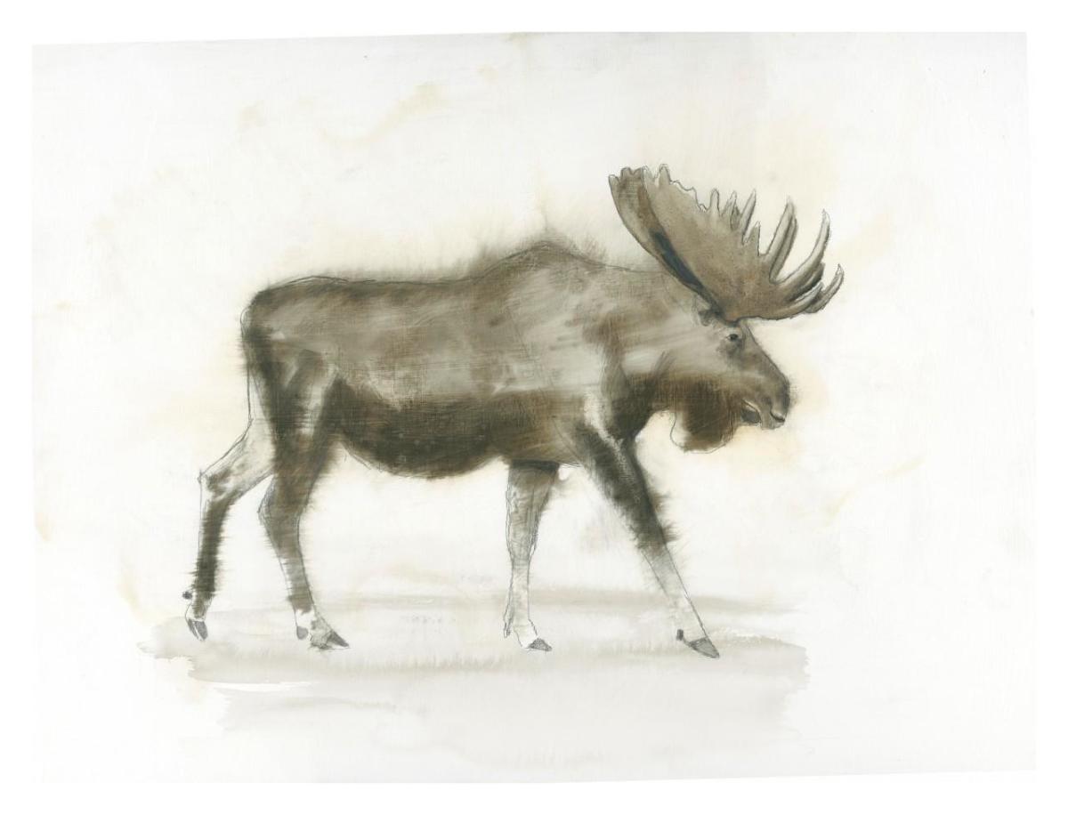 Dark Moose -Paper Art-34"x26"