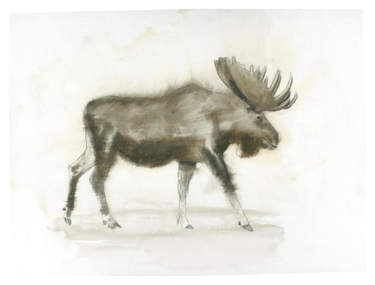 Dark Moose -Paper Art-42"x32"