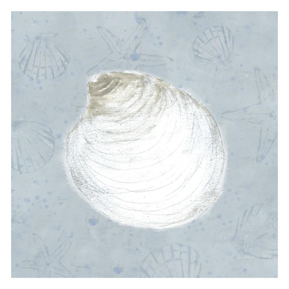 Serene Shells II -Paper Art-26"x26"
