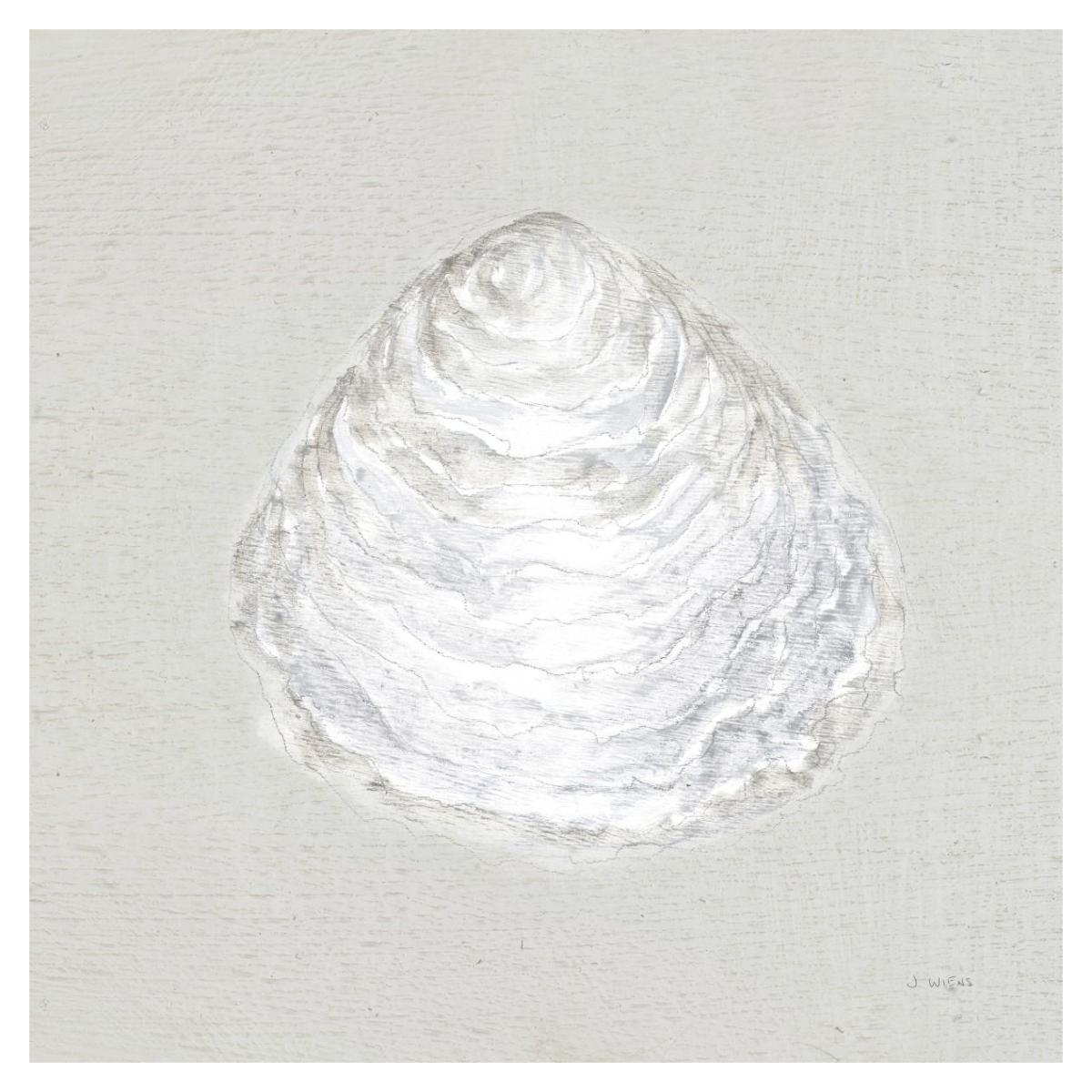 Serene Shells I Tan -Paper Art-38"x38"