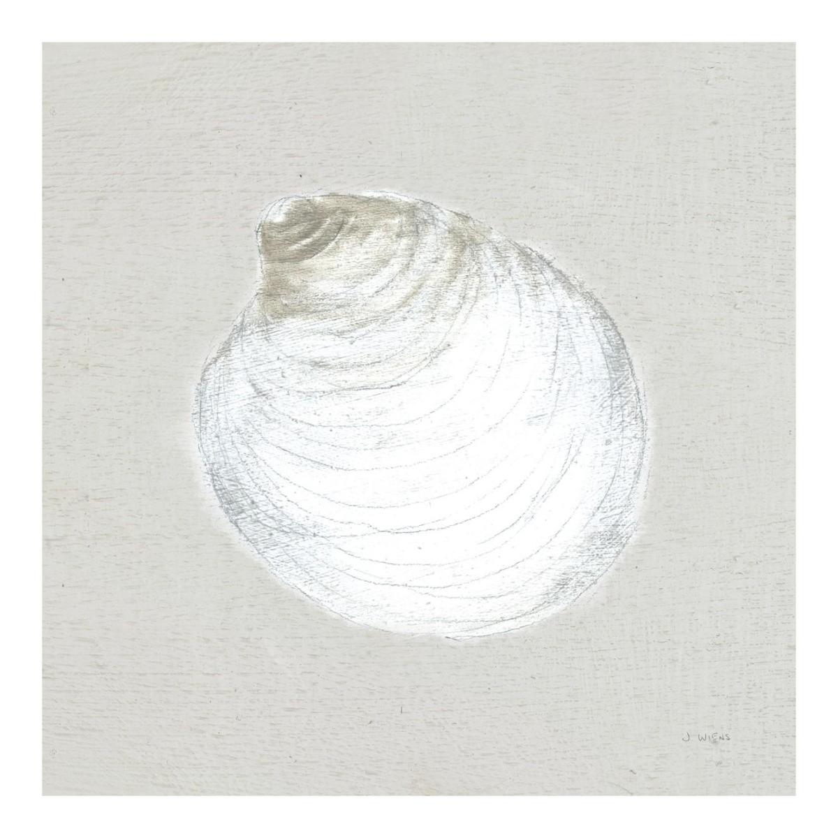 Serene Shells II Tan -Paper Art-20"x20"