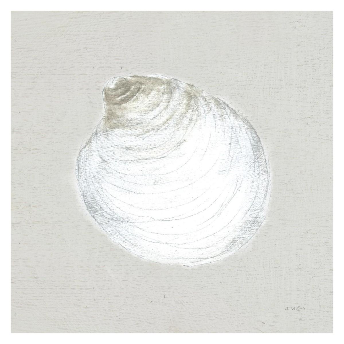 Serene Shells II Tan -Paper Art-32"x32"