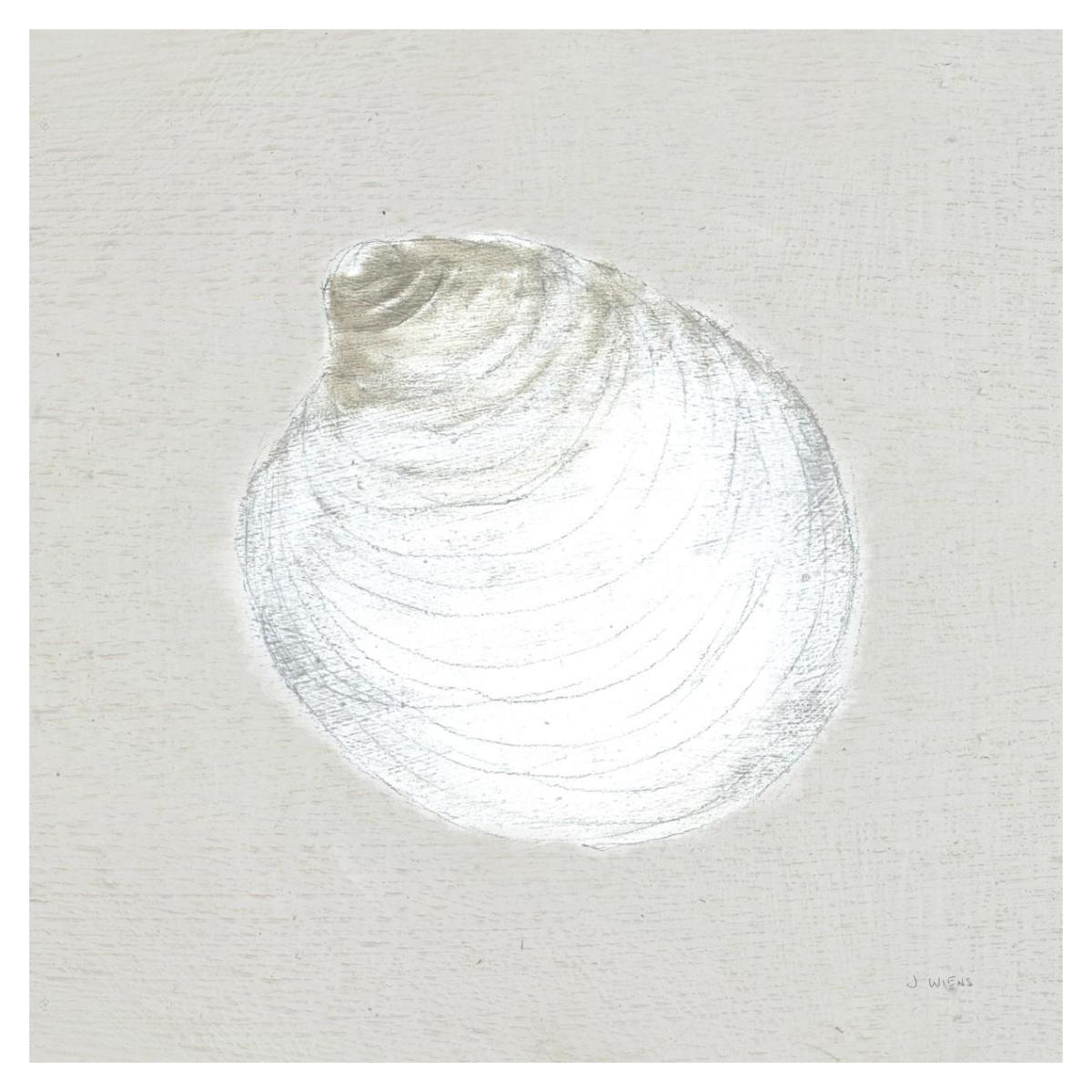 Serene Shells II Tan -Paper Art-38"x38"