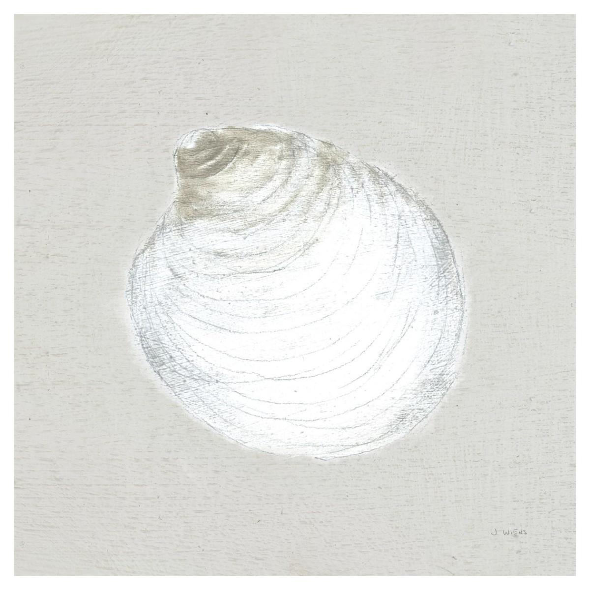 Serene Shells II Tan -Paper Art-42"x42"