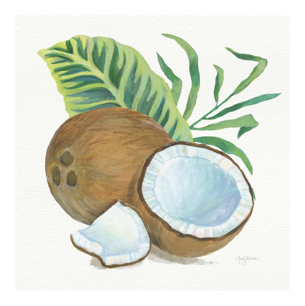 Coconut Palm II -Paper Art-20"x20"