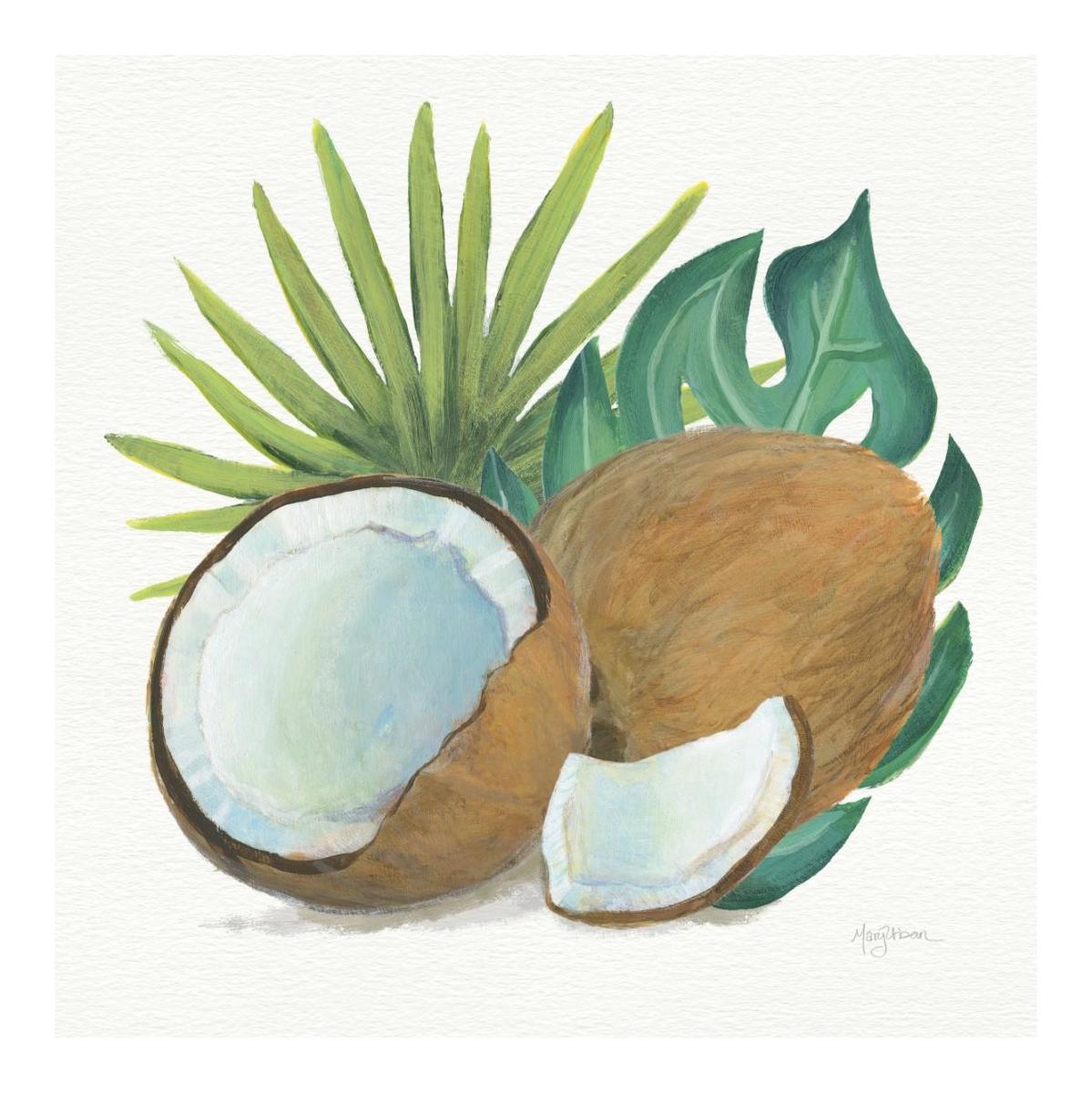Coconut Palm V -Paper Art-20"x20"