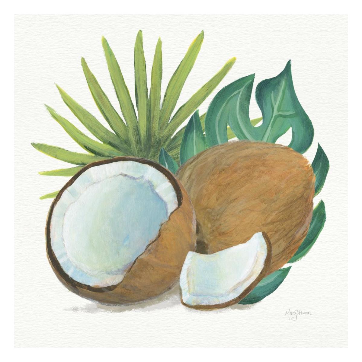 Coconut Palm V -Paper Art-26"x26"