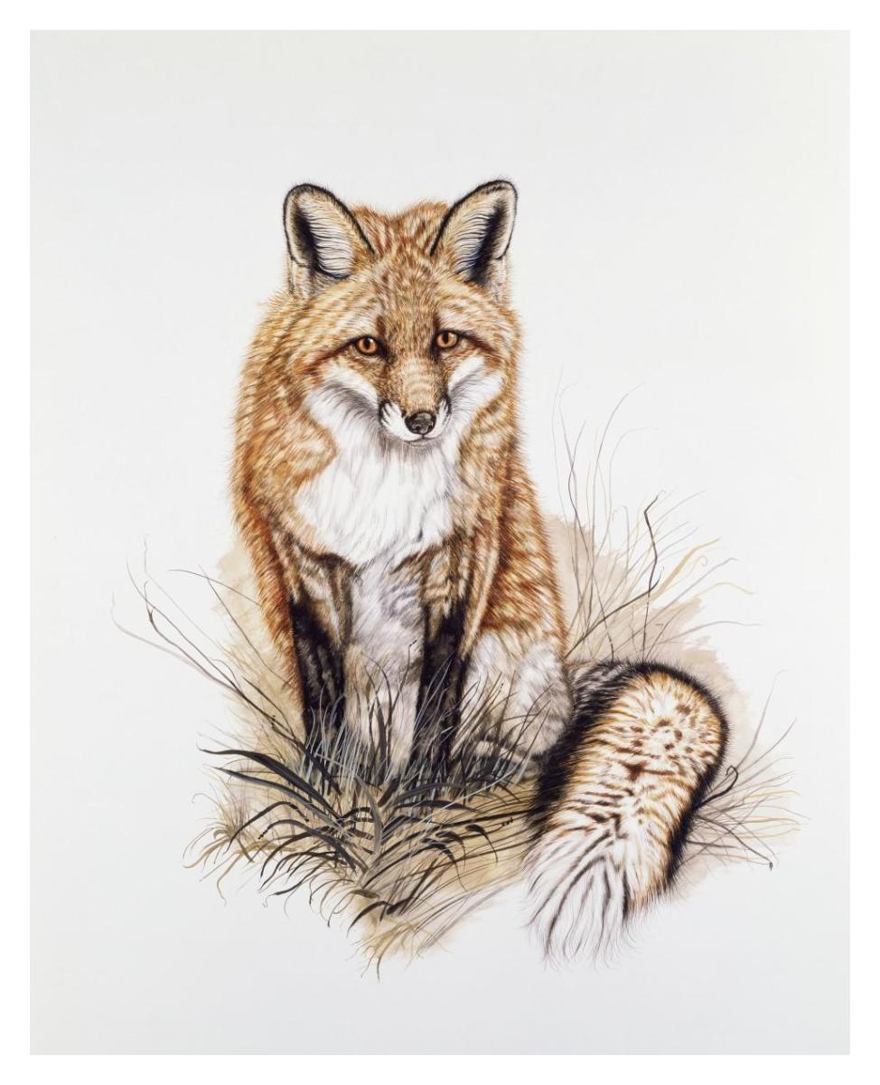 Red Fox -Paper Art-30"x37"