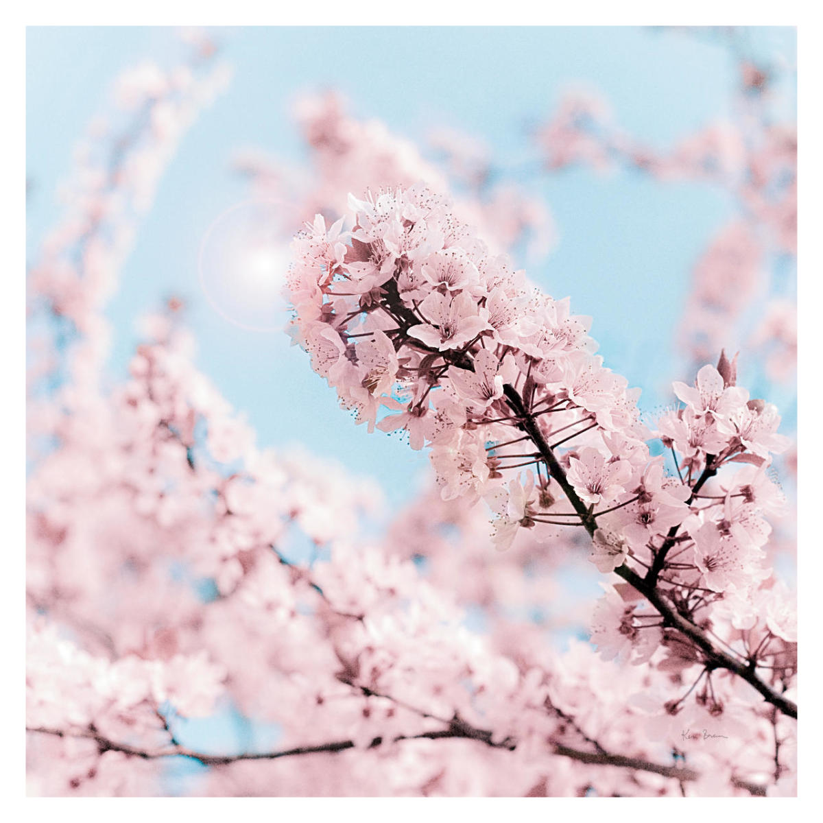 Cherry Blossom Clouds -Paper Art-32"x32"