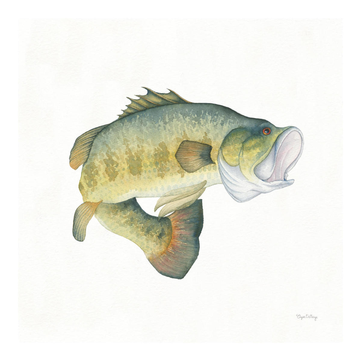 Gone Fishin Large Mouth -Paper Art-20"x20"