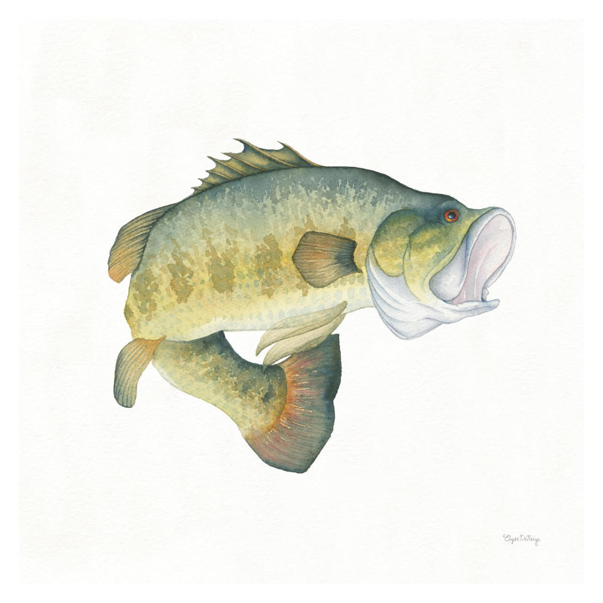 Gone Fishin Large Mouth -Paper Art-32"x32"