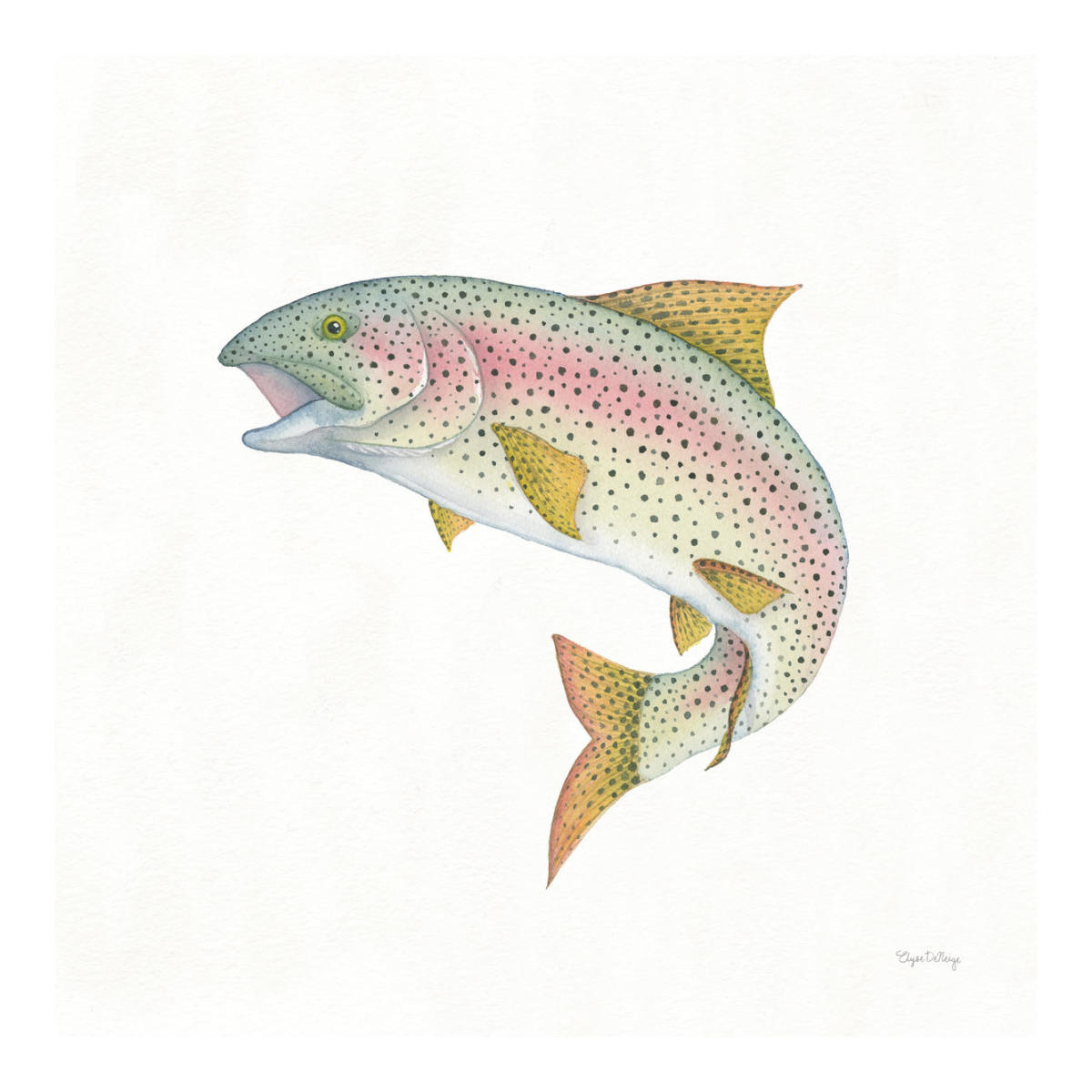 Gone Fishin Rainbow -Paper Art-20"x20"