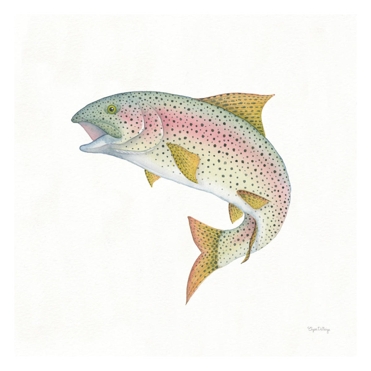 Gone Fishin Rainbow -Paper Art-26"x26"