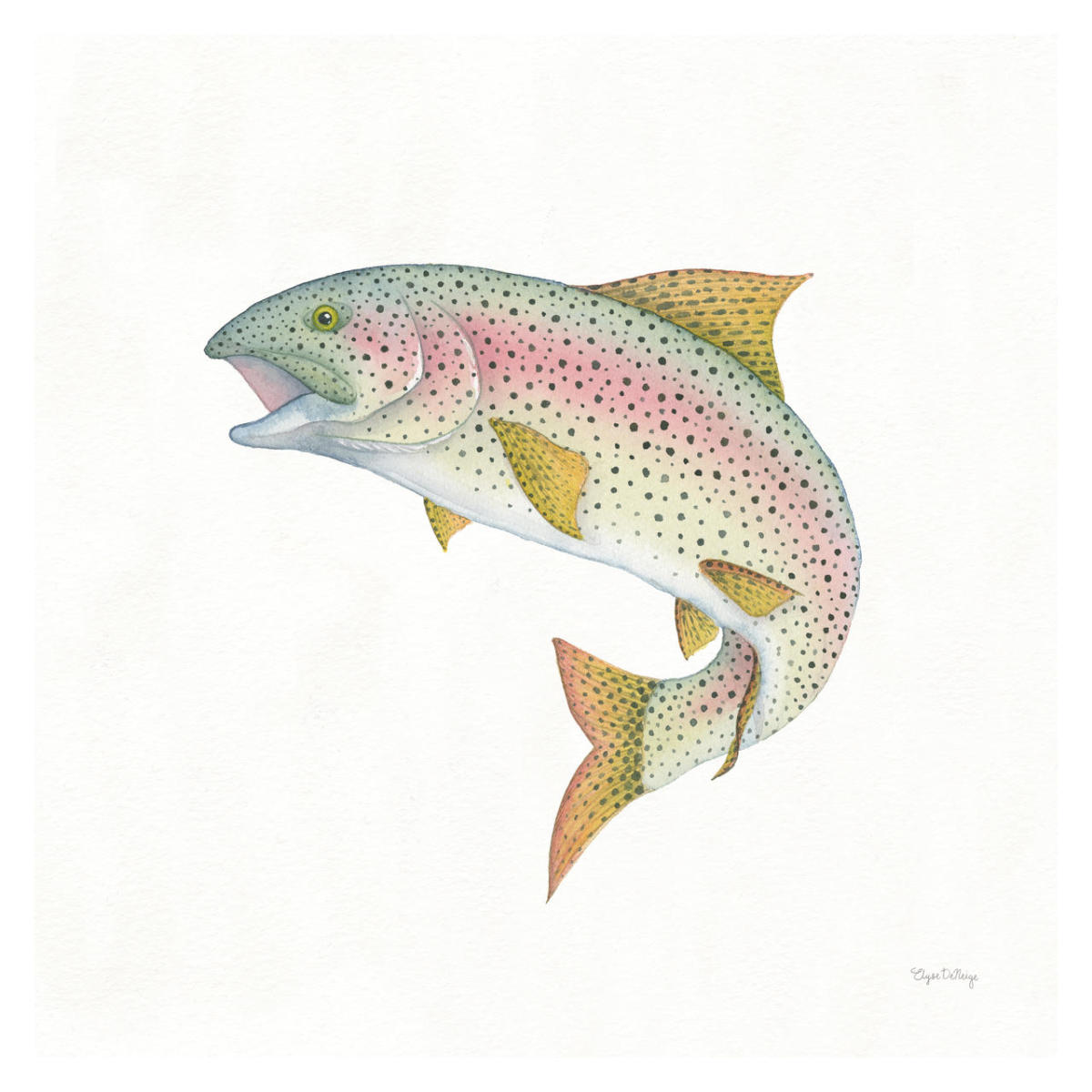 Gone Fishin Rainbow -Paper Art-32"x32"