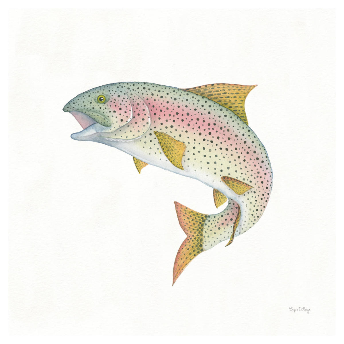 Gone Fishin Rainbow -Paper Art-42"x42"